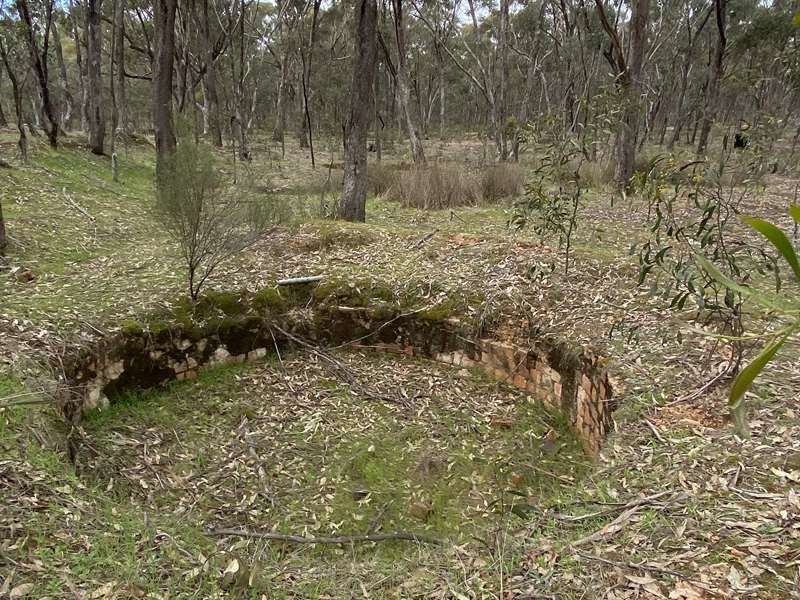 Daisy Hill - Bull Gully Battery Dam and Distillery