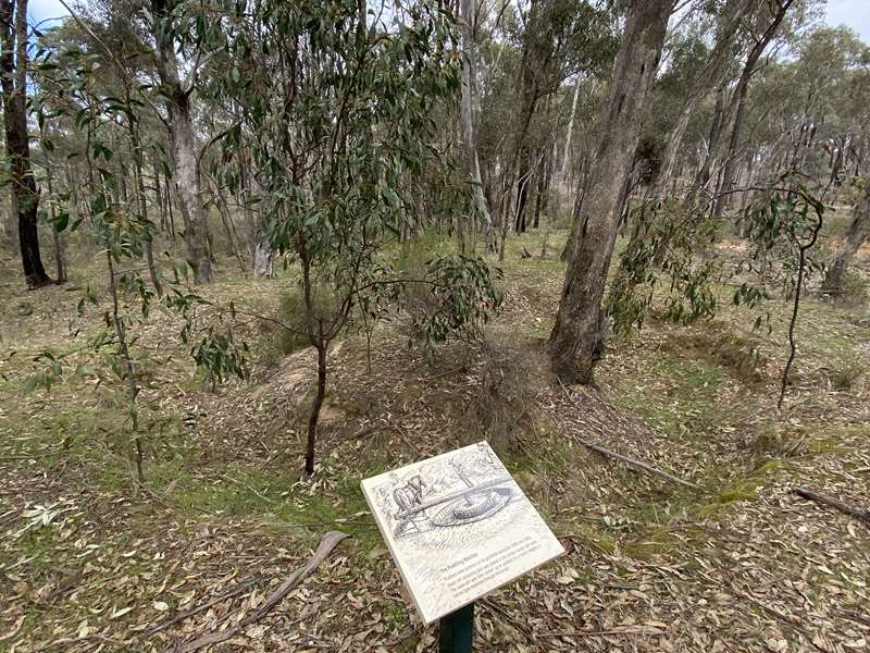 Daisy Hill - Bull Gully Battery Dam and Distillery