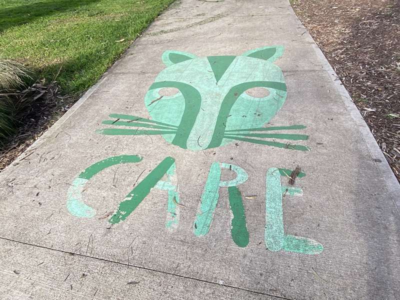 Darebin Council Public and Street Art