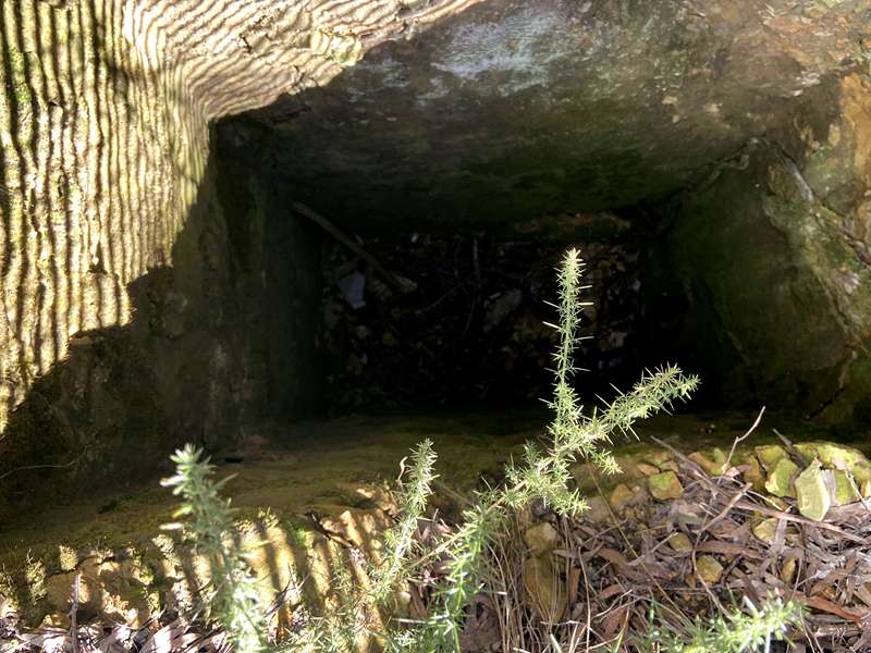 Daylesford - Cornish Hill Walk