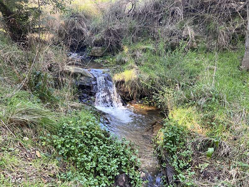 Daylesford - Cornish Hill Walk