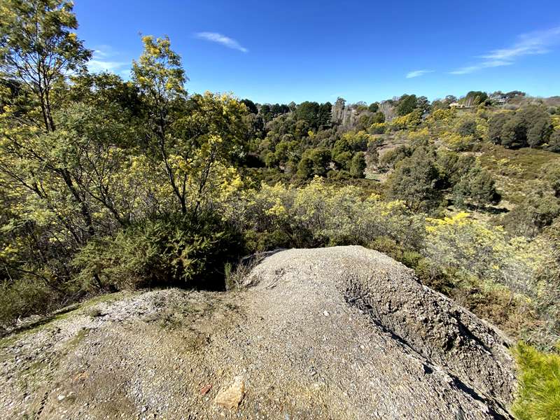 Daylesford - Cornish Hill Walk