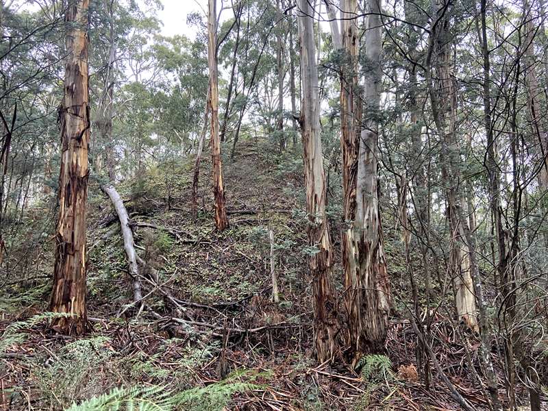 Daylesford - Jubilee Lake Walk