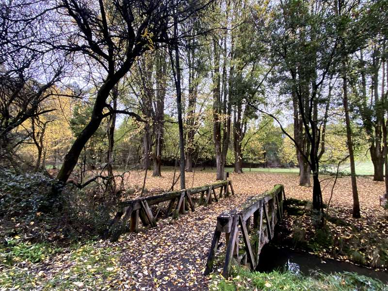 Daylesford - Jubilee Lake Walk