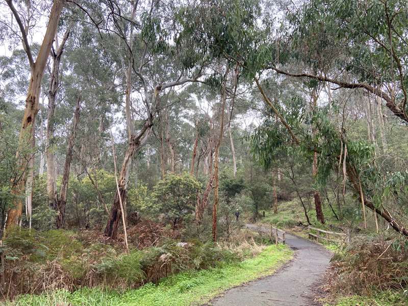 Fauna, Foals and Fruit Walk (Donvale)