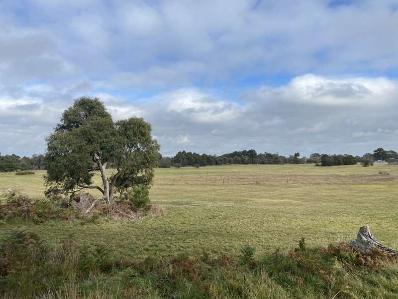 Ferndown Drive Dog Off Leash Area (Cranbourne)