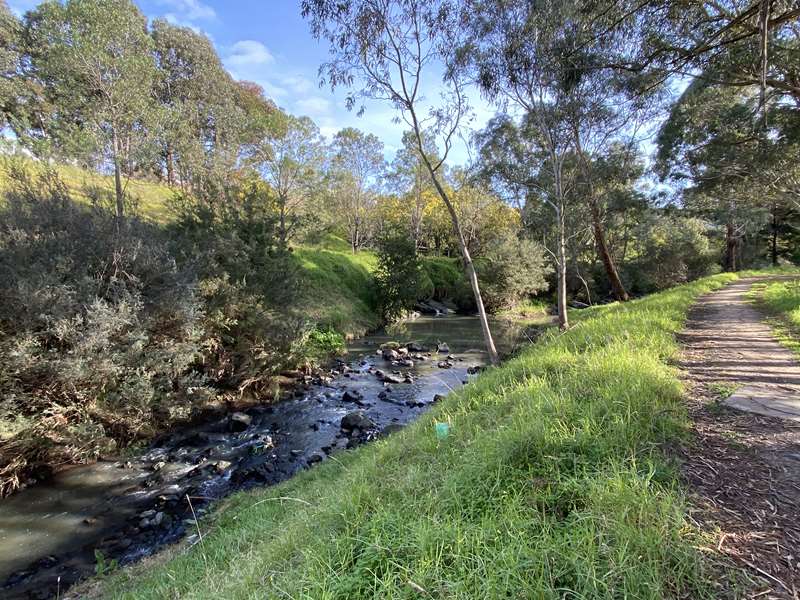 Ford Park Walk (Bellfield)