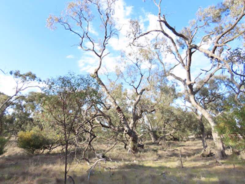 Glenlee Flora and Fauna Reserve