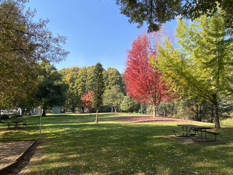 Grey Street Playground, Jamieson