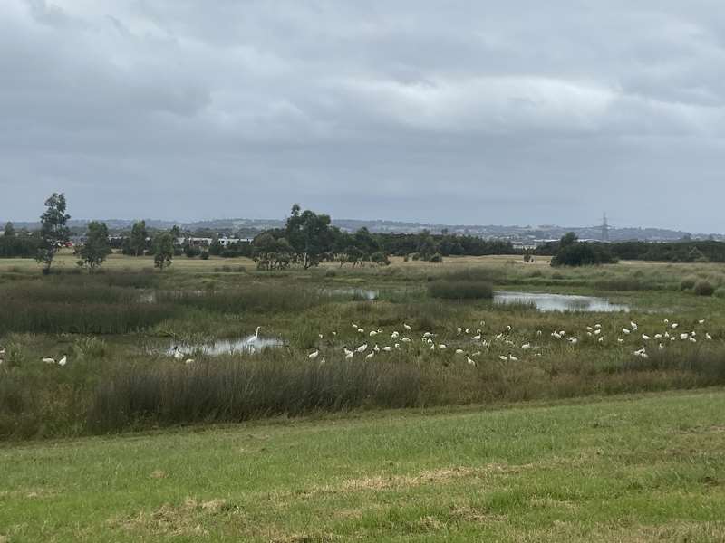 Hallam Valley Trail (Hampton Park - Berwick)