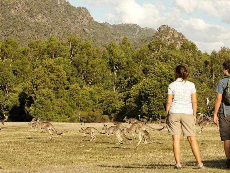 Halls Gap - Fyans Creek Loop Walk (Grampians National Park)