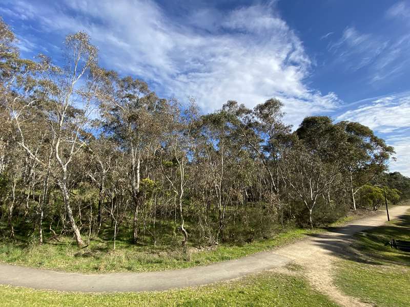 Harry Pottage Reserve (Macleod)