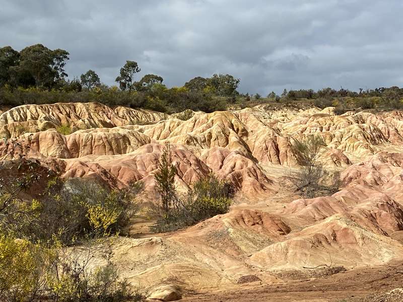 Heathcote - Pink Cliffs