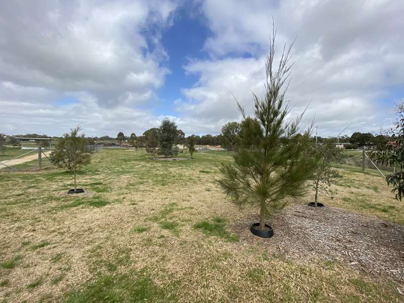 Heathcote Fenced Dog Park