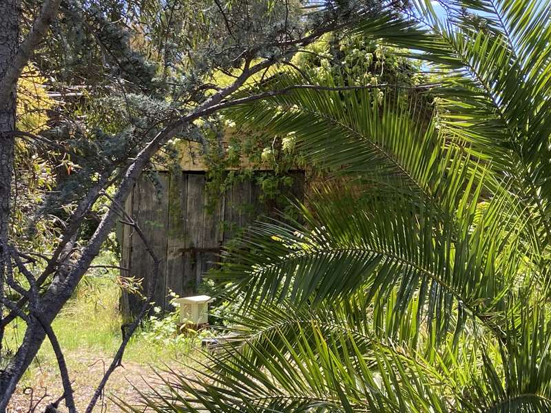 Inglewood Historic Township Walk