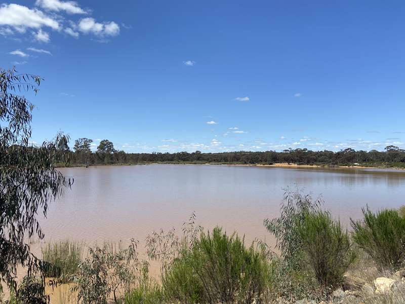 Inglewood Reservoir Track Walk