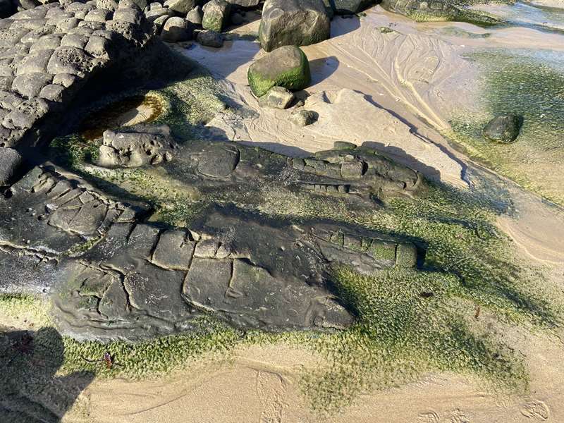 Inverloch - Dinosaur Dreaming Dig Site