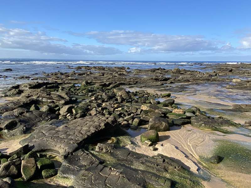 Inverloch - Dinosaur Dreaming Dig Site