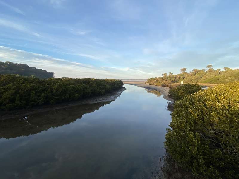 Inverloch - Screw Creek Townsend Bluff Estuary Walk