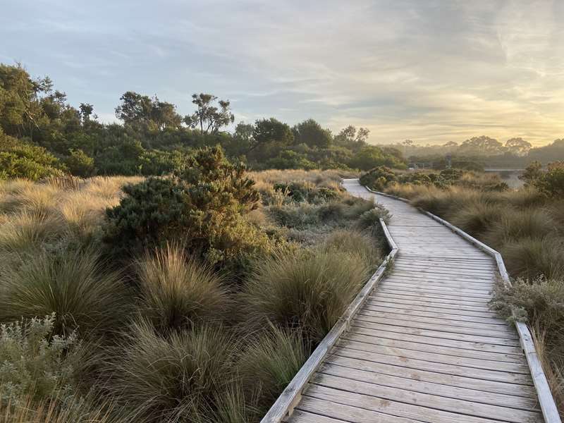 Inverloch - Screw Creek Townsend Bluff Estuary Walk