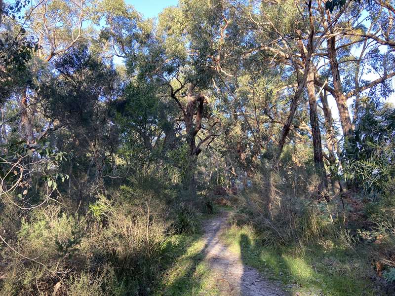 Inverloch - Thompson Estate Nature Reserve