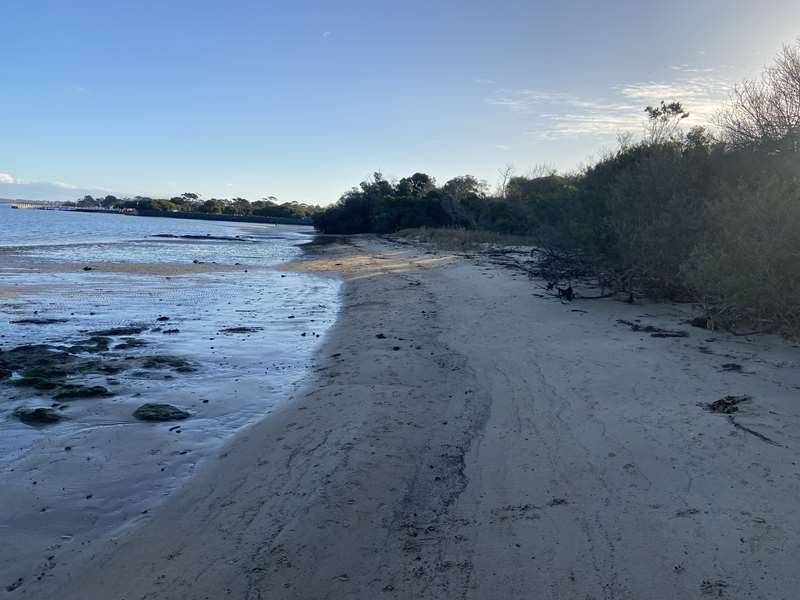 Inverloch Beach Dog Off Leash Area (Grandview Grove - Cuttriss Street)