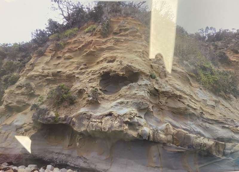 Inverloch - Dinosaur Dreaming Dig Site Footprint