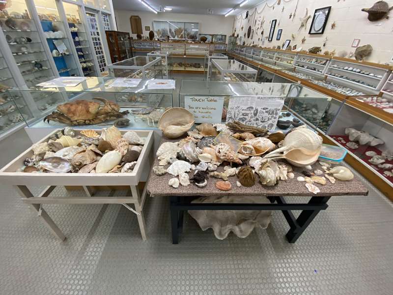 Inverloch Shell Museum