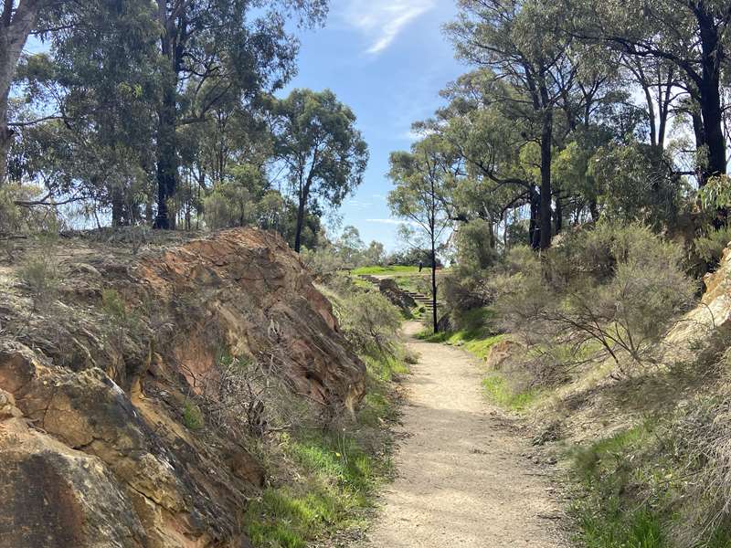 Ironbark - Victoria Hill Historic Mine Reserve Diggings