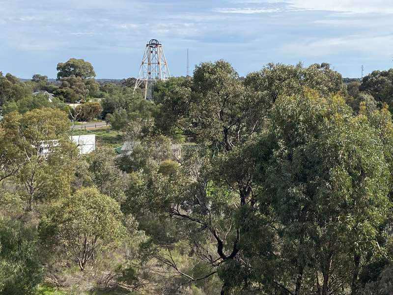 Ironbark - Victoria Hill Historic Mine Reserve Diggings