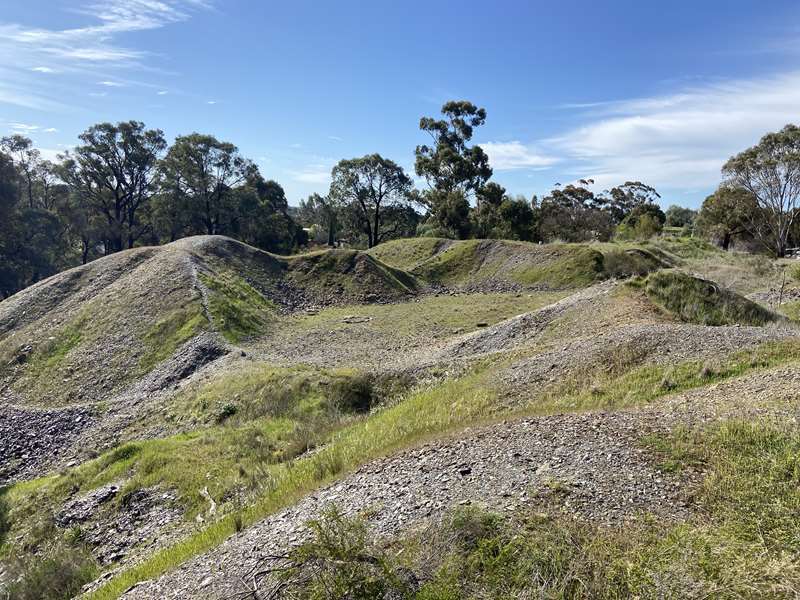 Ironbark - Victoria Hill Historic Mine Reserve Diggings