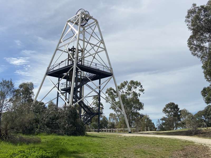 Ironbark - Victoria Hill Historic Mine Reserve Diggings