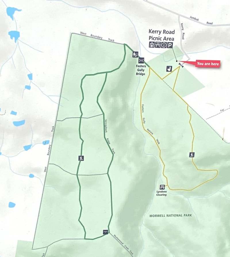 Jeeralang Junction - Fosters Gully Visitor Area Walks Map