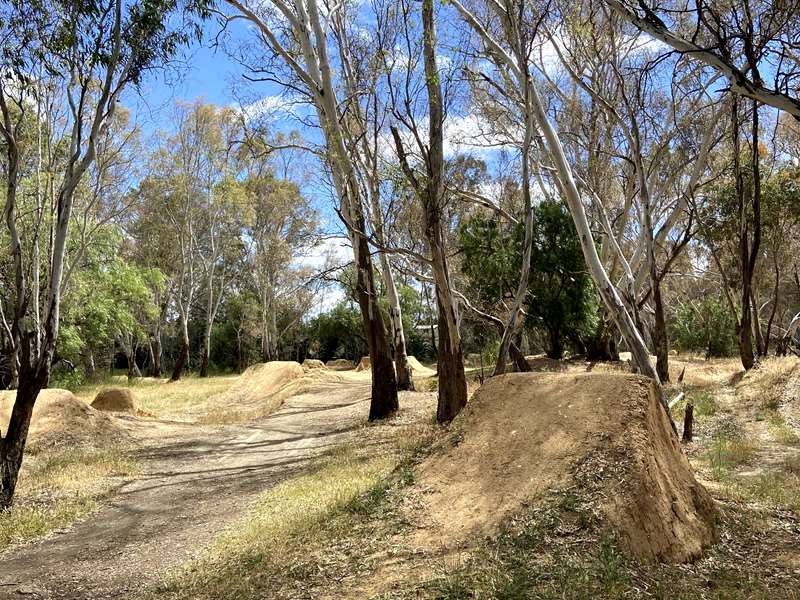 Kangaroo Flat BMX Track