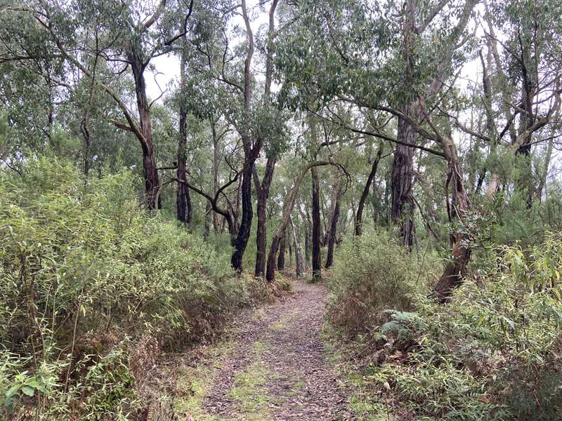 Koonwarra Bushland Reserve