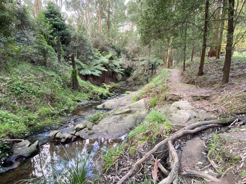 Korumburra Botanic Park