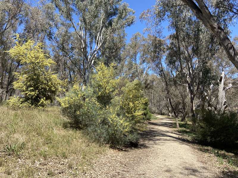 Laanecoorie River Trail