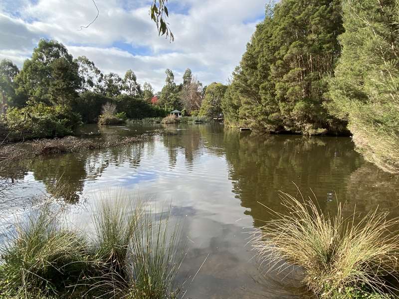 Leongatha Wetlands