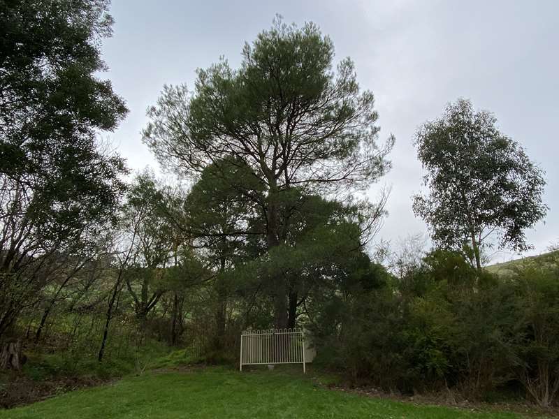 Loch Village History Walk