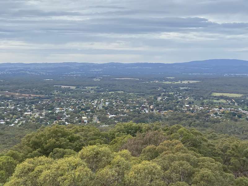 Maldon - Mount Tarrengower Lookout Tower