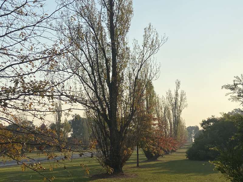 Mansfield History & Heritage Discovery Tour