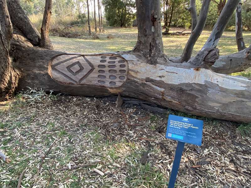 Mansfield Mullum Wetlands Walk