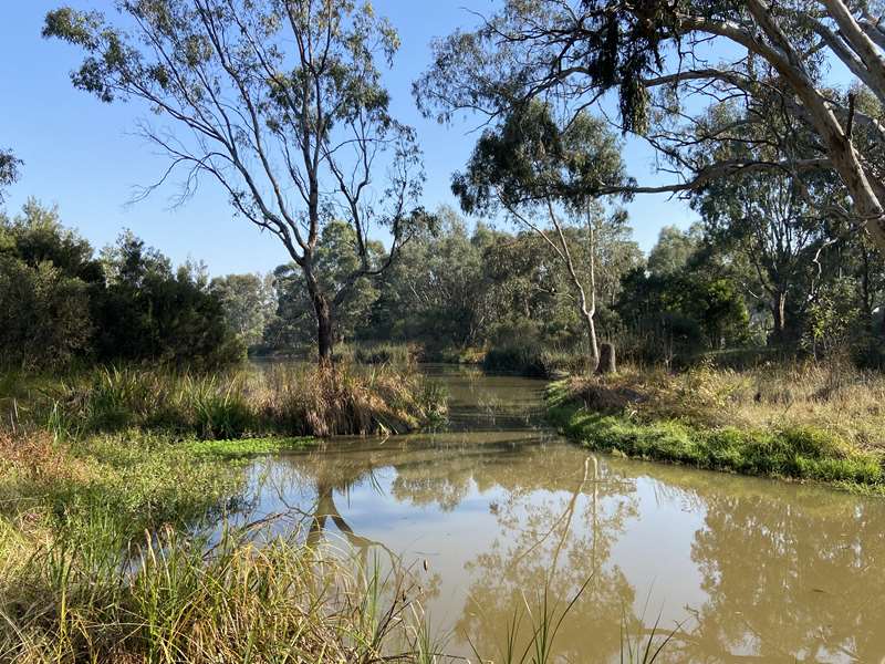 Mansfield Mullum Wetlands Walk