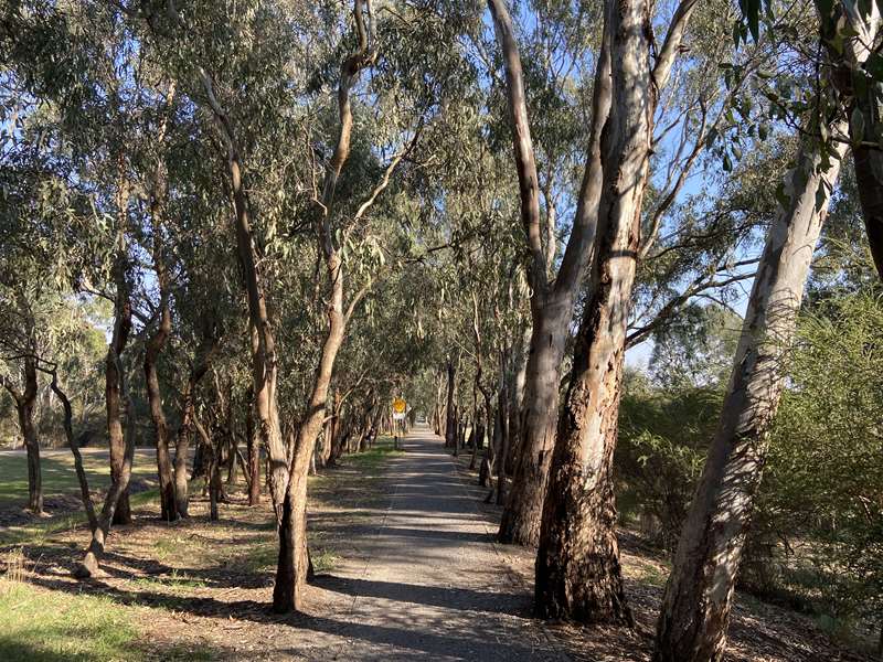 Mansfield Mullum Wetlands Walk