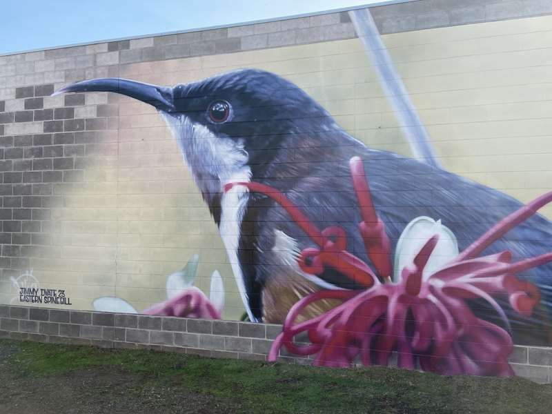 Mansfield Shire Street and Public Art