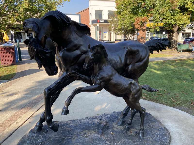 Mansfield Shire Street and Public Art