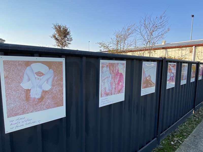 Mansfield Shire Street and Public Art