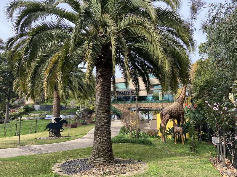 Maribyrnong River Loop Walk (Aberfeldie)