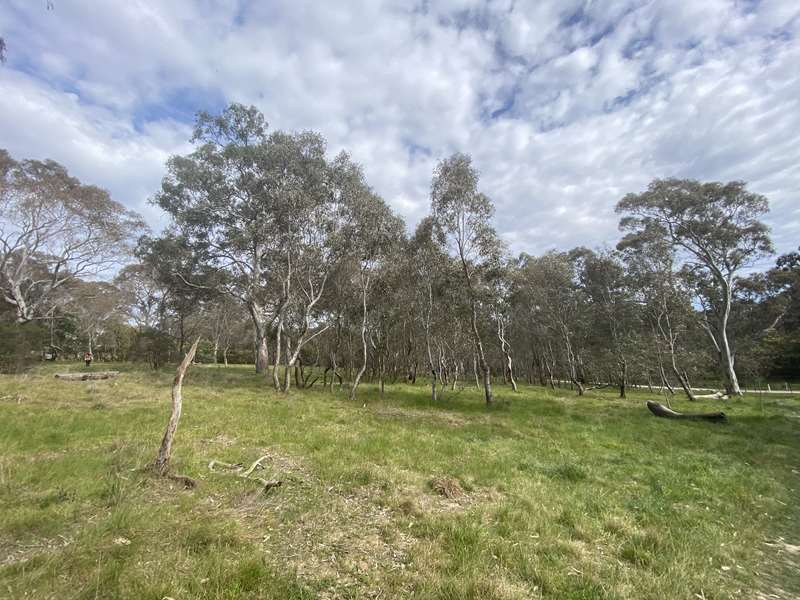 Marigolds Reserve (Yallambie)