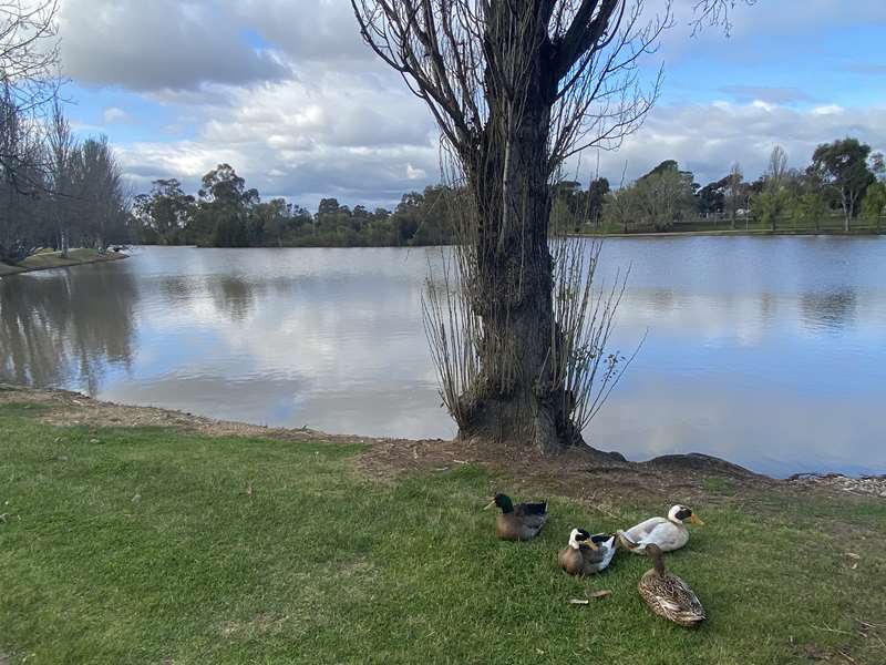 Maryborough - Lake Victoria